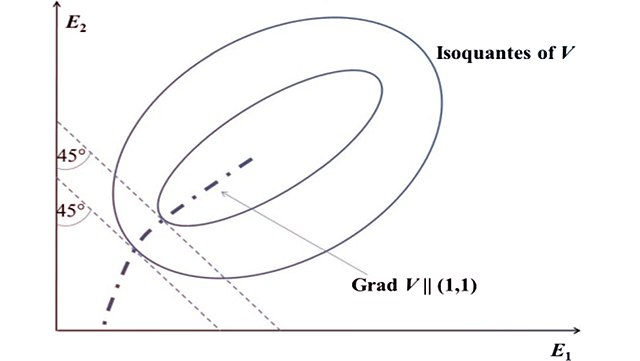 wp1-cra-held-2019-640x361 Isoquants of the aggregated utility function V(.) for the 2-dimensional case. The condition ‘grad V is parallel to (1,1)’ implies that the dashed 45°-oriented lines are tangential to the isoquants as then grad V is perpendicular to them.
