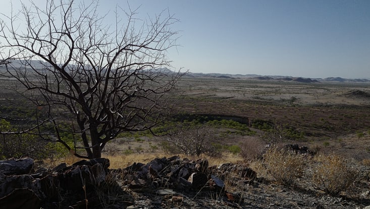 Landscape in Namibia, A sparse bush in the foreground, behind it a wide, uninhabited landscape, only gently vegetated. In the distance, mountains.
